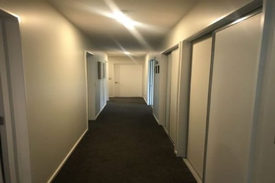 11 Florin Place, Prebbleton